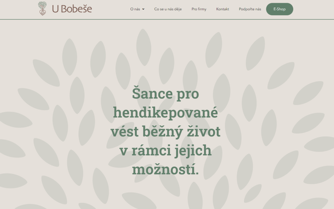 U Bobeše mají nový web!