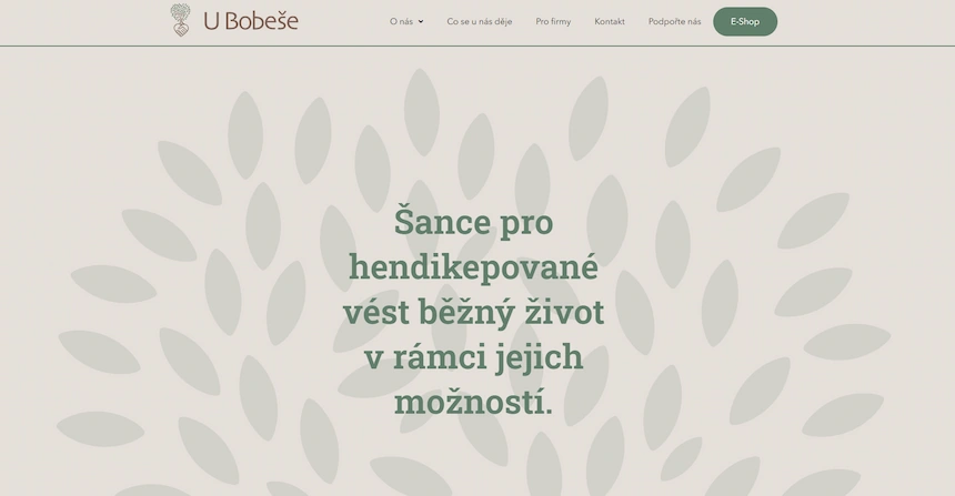 Web - Chráněná dílna U Bobeše